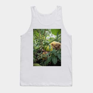 Green pumpkin in the garden Tank Top